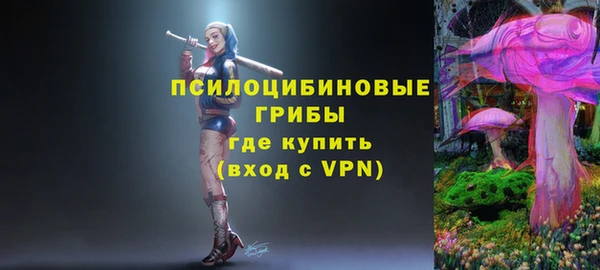 PSILOCYBIN Навашино