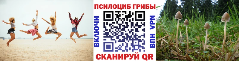 Псилоцибиновые грибы мицелий  Хадыженск 